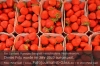 da20q2-a16-s01-01-erdbeeren-voll-gut